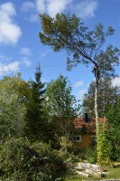 /album/killingholmens-mark-amp-allservice/dsc-0188-jpg/