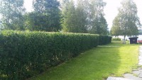/album/killingholmens-mark-amp-allservice/a20160806-155405-jpg/