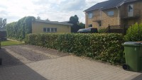 /album/killingholmens-mark-amp-allservice/a20160727-154640-jpg/