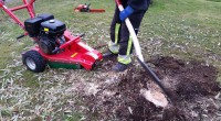 /album/killingholmens-mark-amp-allservice/a1-jpg/